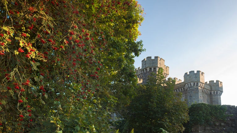 View of Wray Castle showing tree heavy with berries in the foreground and the castle in the background